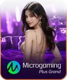 micro4